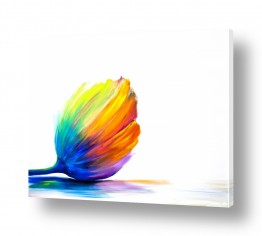 חדרים תמונות לחדר כביסה | Be My Valentine