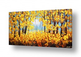 צומח יערות | קיץ אינדיאני