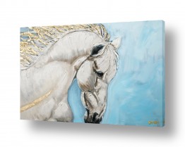 בעלי חיים סוסים | Golden