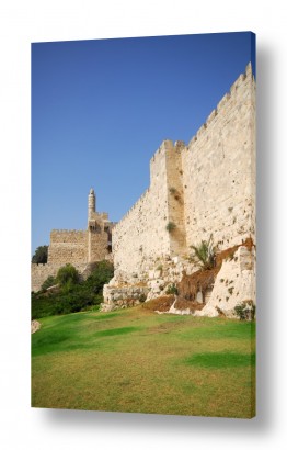 רן זיסוביץ רן זיסוביץ - החיים מבעד לעדשה - ירושלים | מגדל דויד