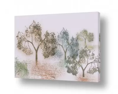 תמונות מעוצבות לחדר שינה תמונות נוף לחדר שינה | חלום