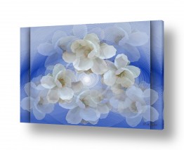 רעיה גרינברג רעיה גרינברג - «פנטזיה ממוחשבת«-ציור דיגיטלי - 3 פרחים | פריחת הורדים