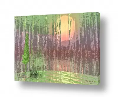 צומח עצים | Daybreak in the forest