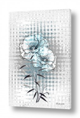 פרחים לפי צבעים פרחים לבנים | שניים