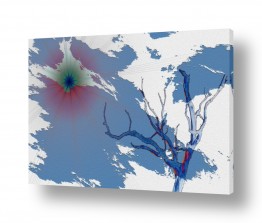 שילובים של צבע כחול כחול ולבן | מחכה לגשם
