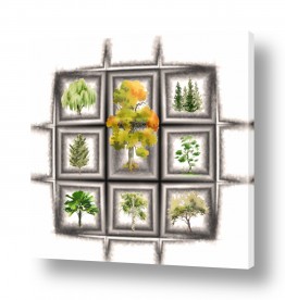 רעיה גרינברג הגלרייה שלי | בית העצים