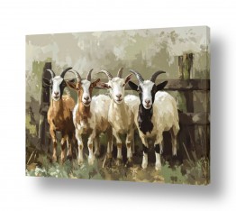 נושאים תמונות טבע | סלפי לפני המרעה