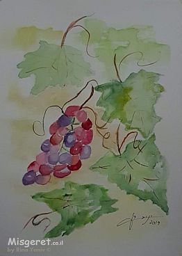 אשכול ענבים