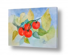 ציורים רינה יניב | עגבניות
