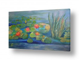 ציורים ציור | בריכת המים