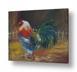 ציורים ציורים של בעלי חיים | תרנגול
