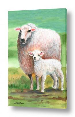 ציורים רוני רות פלמר | כבשה וטלה