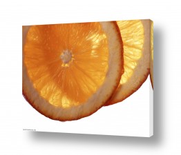 פירות הדר תפוז | כתום בריא