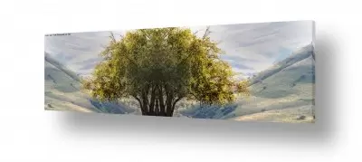תמונות טבע תמונות נוף יפות | נוף צפוני