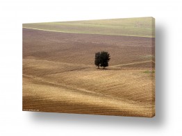 צילומים שרית סלימן | משטחים