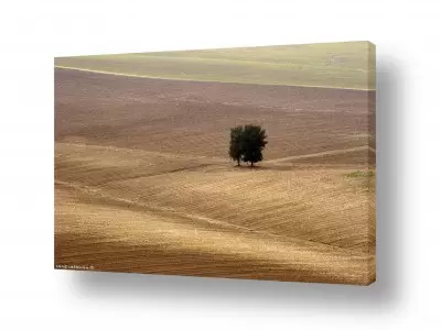 תמונות זכוכית תמונות זכוכית תלת מימד | משטחים
