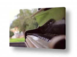 כלי נגינה פסנתר | הפסנתר