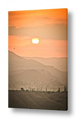 צבעים פופולארים צבע כתום | גלעד