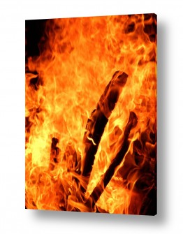 תמונות טבע אש | מדורה