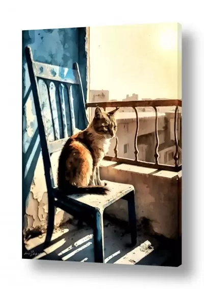 מסגרת ראשי קירות ישנים | חתול משקיף