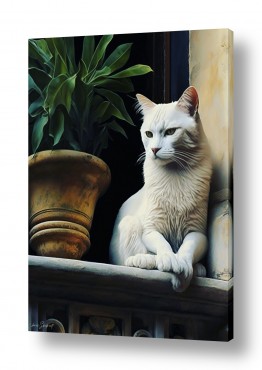 ציורים ציורים של בעלי חיים | חתול משקיף 02