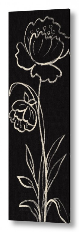 צבעים sepia | פרח גיר שחור לבן