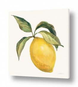 צבעים פופולארים צבע צהוב | לימון מהעץ