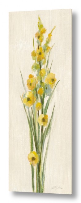 צמחים פרחים | זר צהובים גבוה