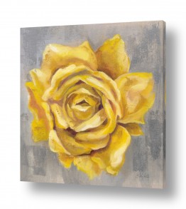 פרחים שושנה | ורד צהוב II