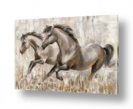 ציורים Silvia Vassileva | סוסים דוהרים