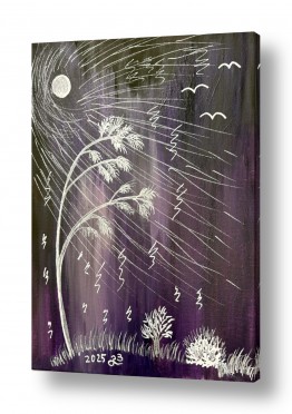 שילובים של צבע שחור שחור לבן סגול | סער