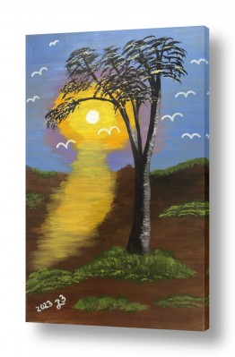 אסטרונומיה שמש | שמש