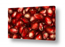 צבעים פופולארים צבע אדום | זרעי רימון בשל