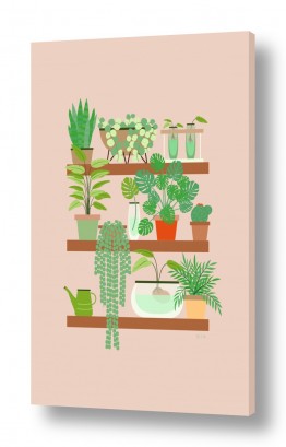 תמונות לפי נושאים איור | צמחים על מדף
