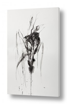 תמונות מעוצבות לסלון תמונות גדולות לסלון | צמיחה