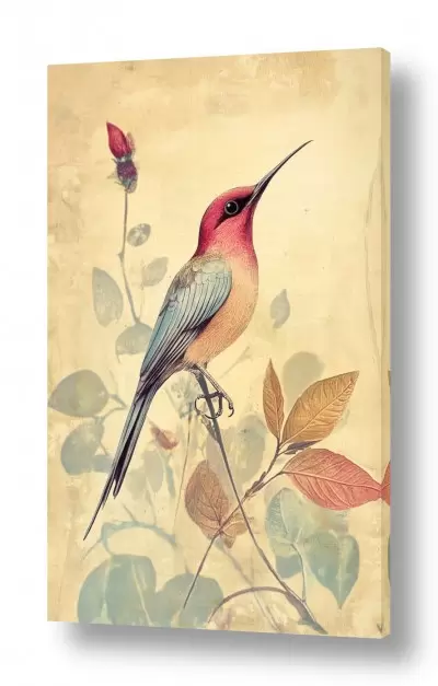 תמונות לסלון ציורים יפים לסלון | Botanic Bird