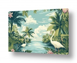 עופות מים חסידות | Paradise