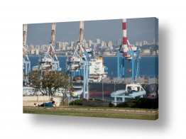 צילומים אורי לינסקיל | מעל הנמל