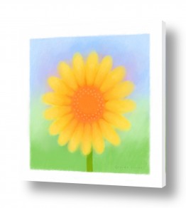 פרחים חמניות |  חיננית Yellow Daisy