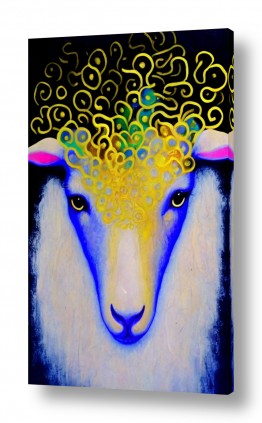 ציורים ציורים של בעלי חיים | כבשה צמר זהב 
