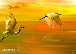 ציפורים במעוף צהובה