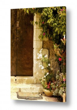 ויויאן נתן ויויאן נתן - צילום אמנותי  -   Viviane Nathan - כניסה | עץ ופרחים