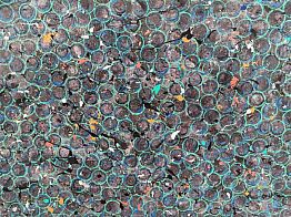 עיגול צבעוני