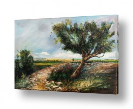 נושאים ציורי נוף על קנבס | עץ הזית