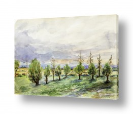 נושאים ציורי נוף על קנבס | עצי זית