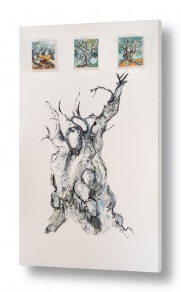 עצים עץ זית | גילגולו של הזית