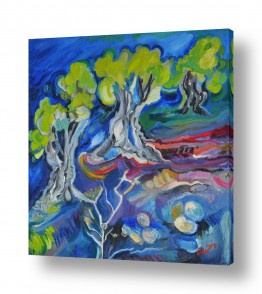 תמונות לפי נושאים דימדומים | עצי זית בערב כחול