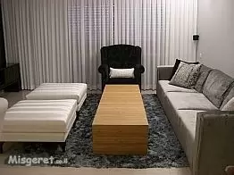 סלון צעיר