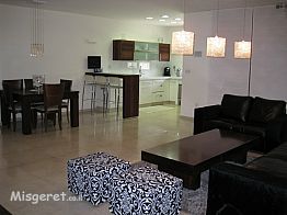 מתחם הסלון והמטבח