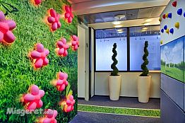 עיצוב סביבת עבודה